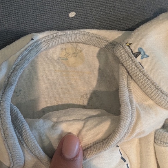 Nested Bean - Picture 7 of 7